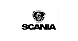 logo 13